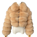 Biscuit